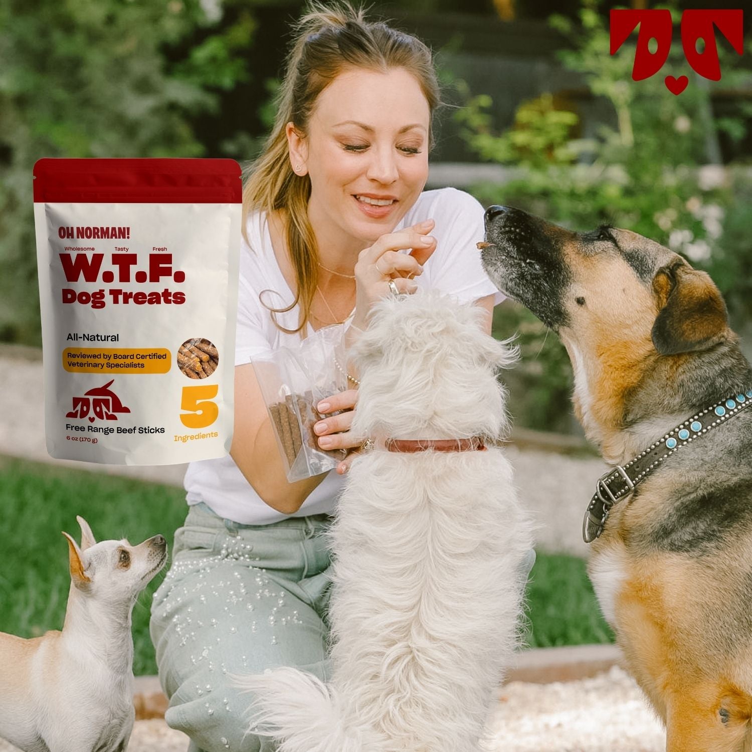 WTF Treats: Free Range Beef Jerky