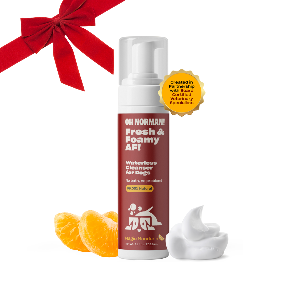 Buy One, Gift One Holiday Stocking Bundle