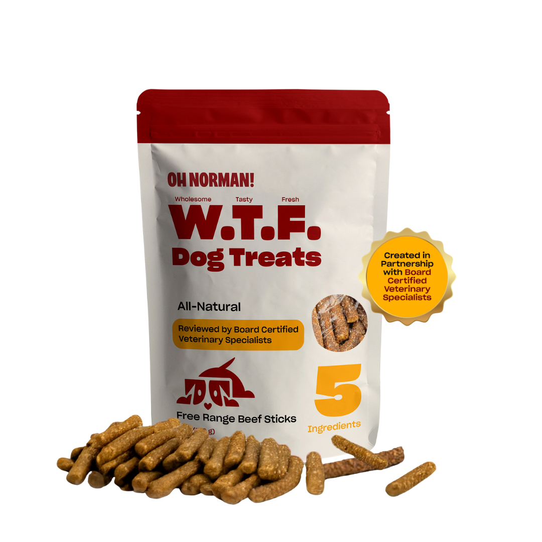 WTF Treats: Free Range Beef Jerky