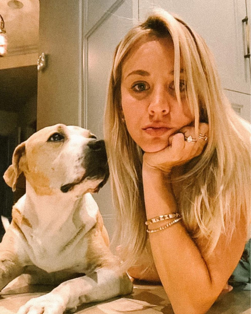 Oh Norman! Founded by Kaley Cuoco