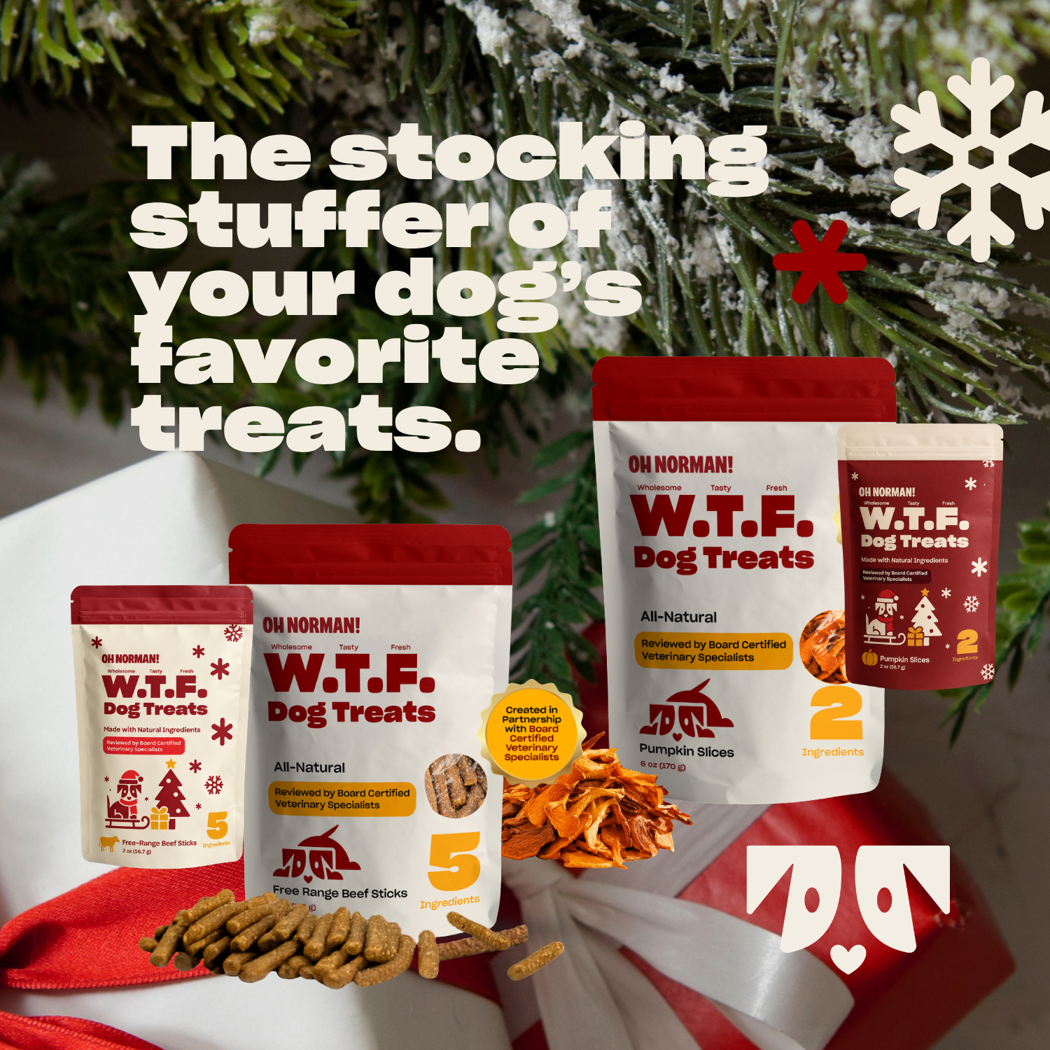 WTF HOLIDAY Treats: Free Range Beef Jerky – Oh Norman