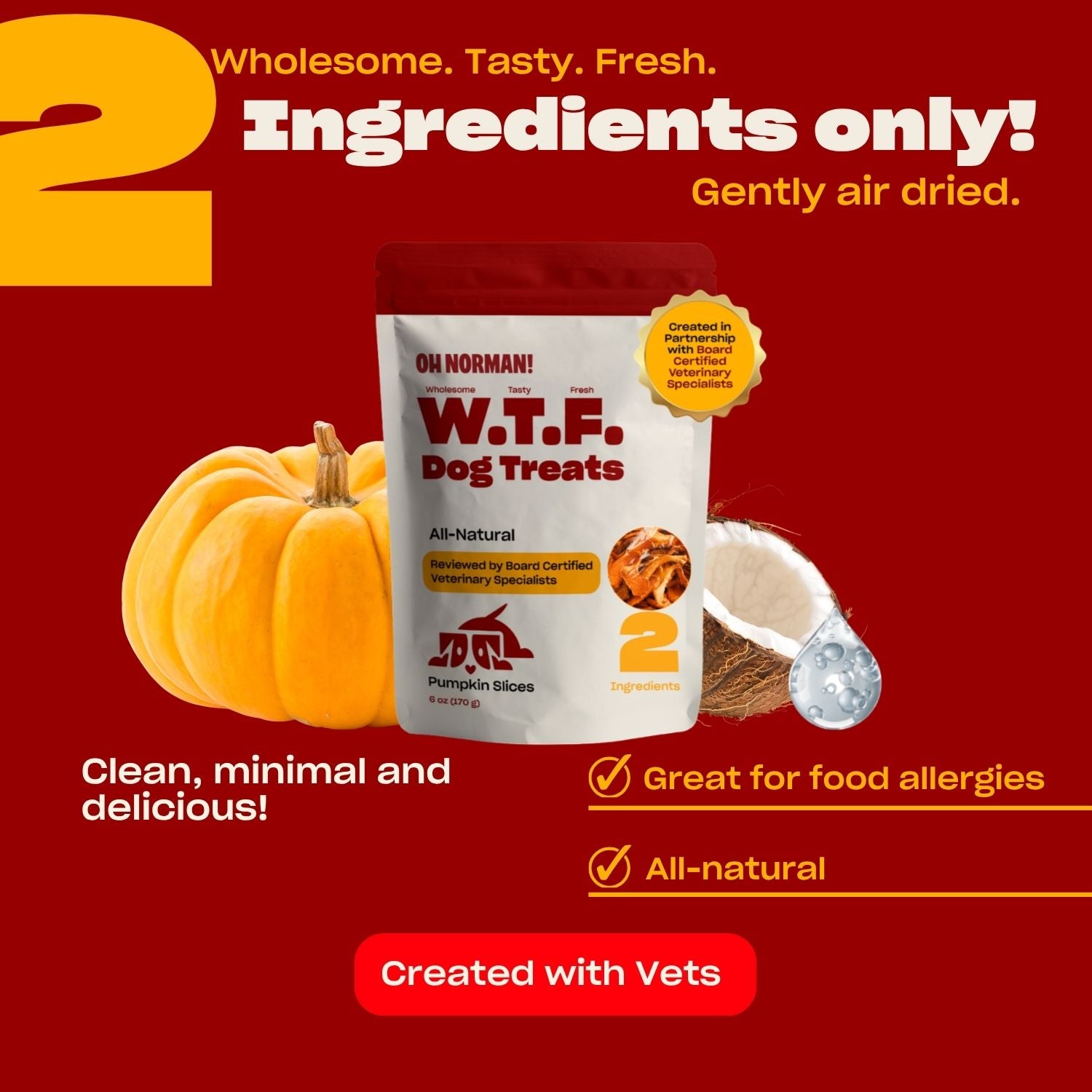 WTF Dog Treats: Pumpkin Slices