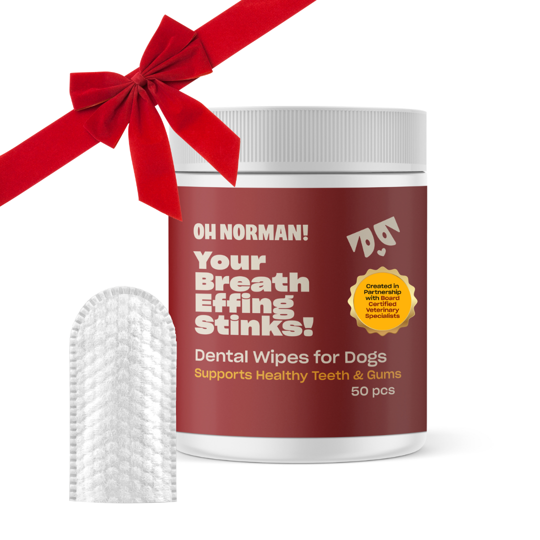 Buy One, Gift One Holiday Stocking Bundle