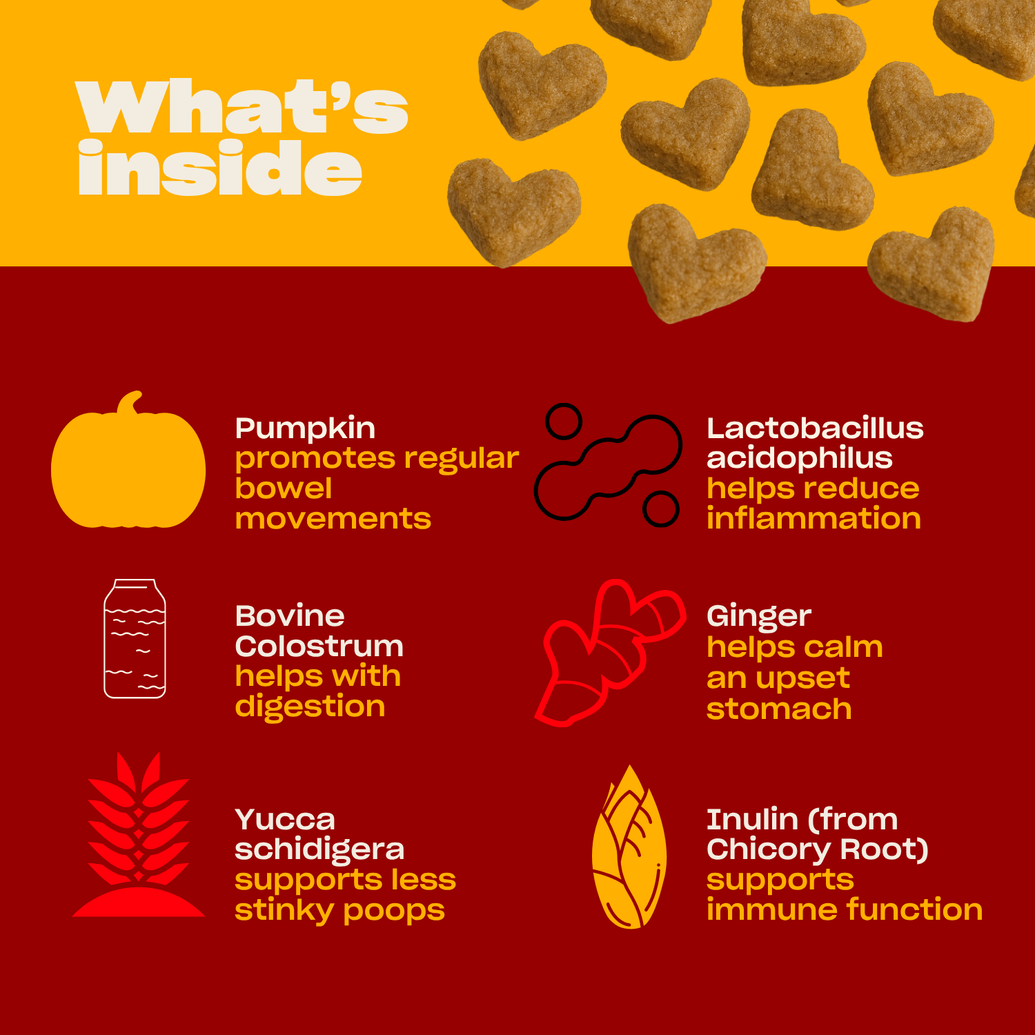 List of ingredients including pumpkin, cinnamon, ginger, turmeric, lactobacillus, and prebiotic fiber with icons and text 'What's Inside'