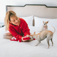 Actress Kaley Cuoco offering a red recycled plush dog toy to two small tan chihuahuas on a white bed