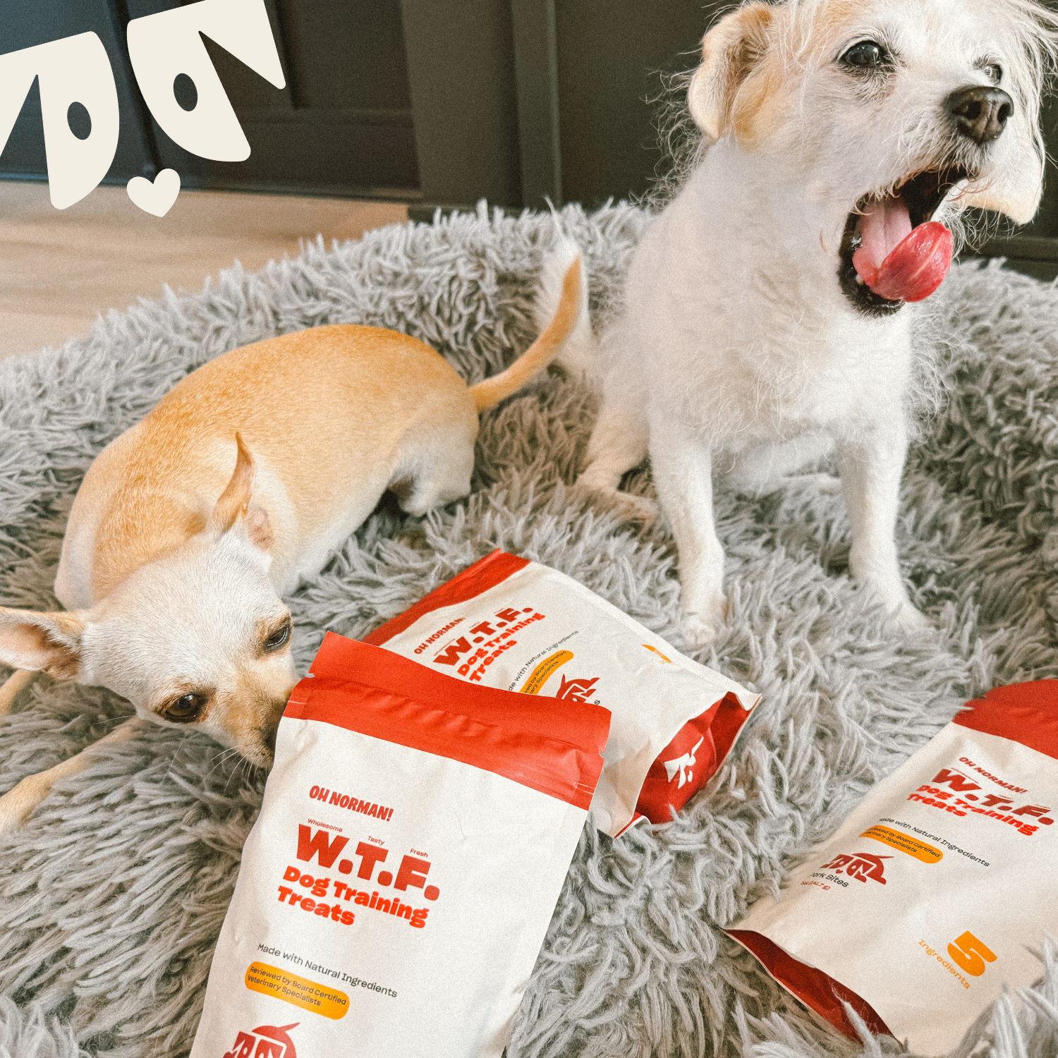 WTF Dog Training Treats