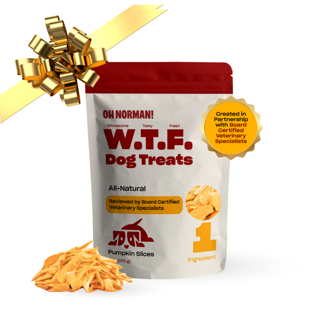 WTF Treats: Pumpkin Slices – Oh Norman