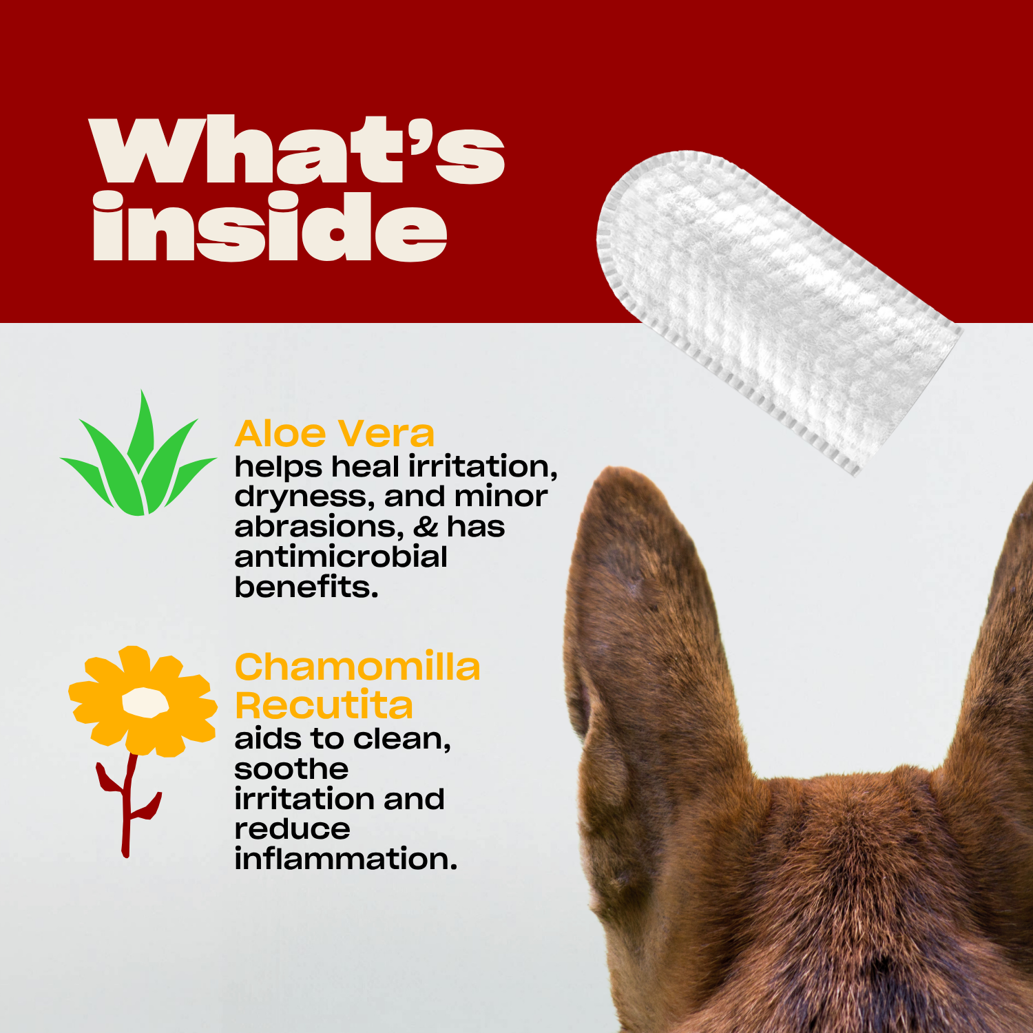 Dog Ear Wipe - Aloe Vera, Chamomilla Recutita