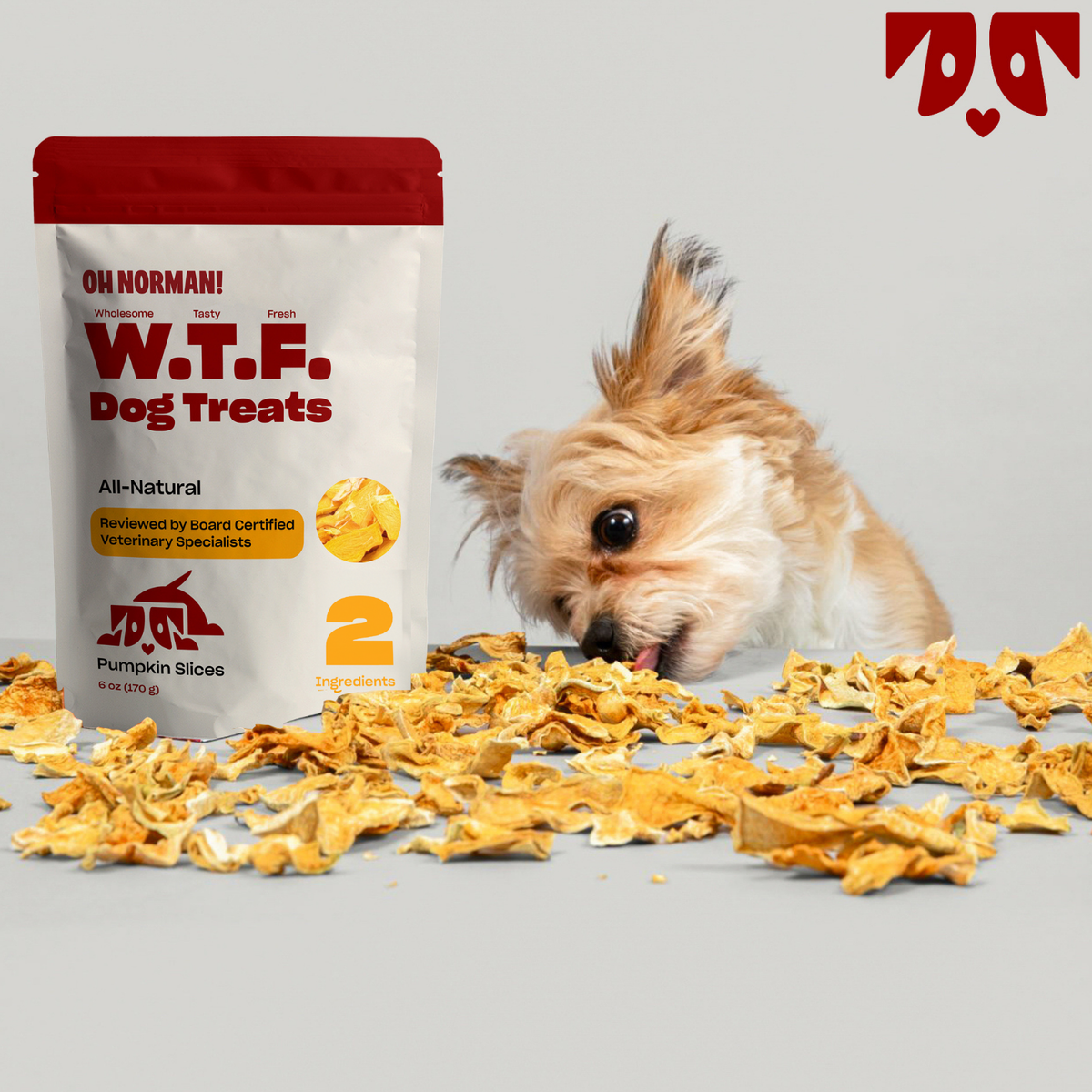 WTF Treats: Pumpkin Slice Treats for Dogs – Oh Norman