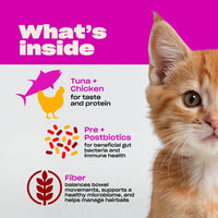 Fiber and Pre and Postbiotics for Cats