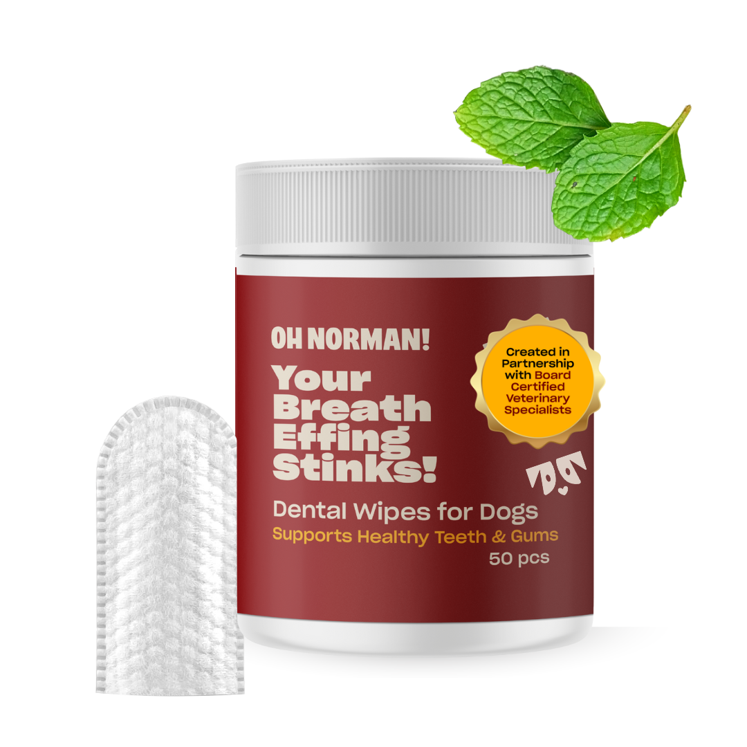 Dental wipes for dogs with a label on a white background