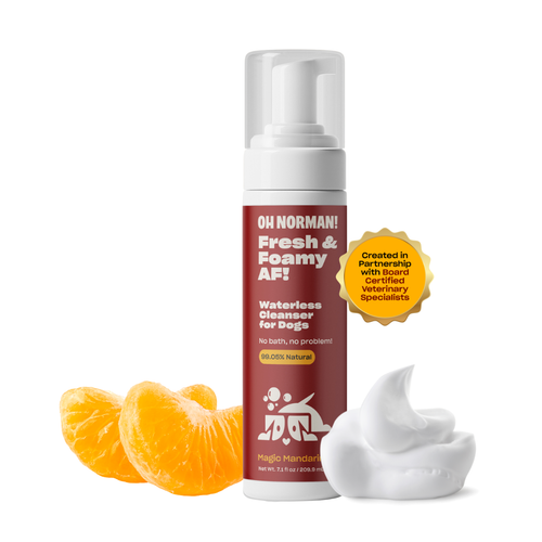 OH Norman Fresh & Foamy AF waterless shampoo for dogs with mandarin oranges and foam on a white background
