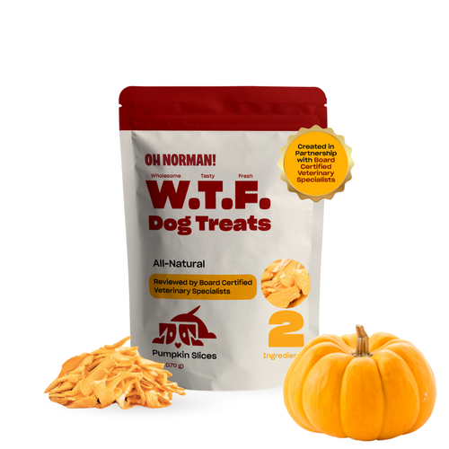 WTF Treats: Pumpkin Slices