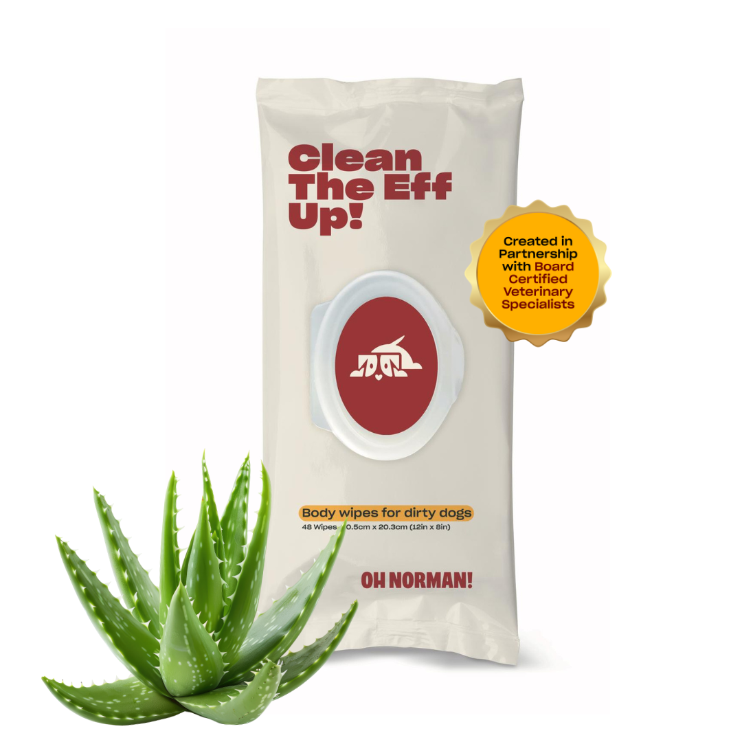 Clean The Eff Up! Paw Wipes For Dirty Dogs