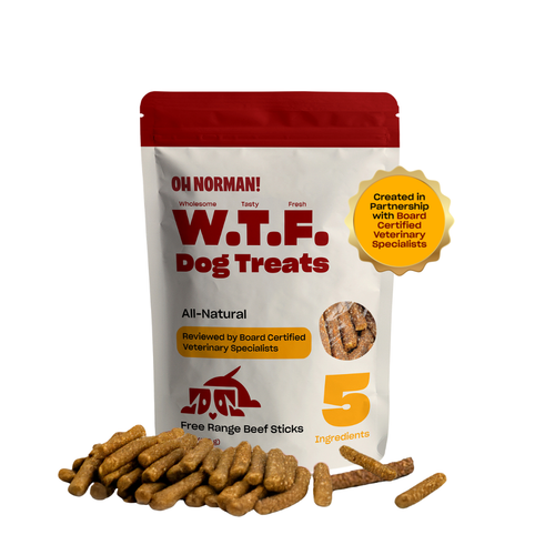 WTF Treats: Free Range Beef Jerky