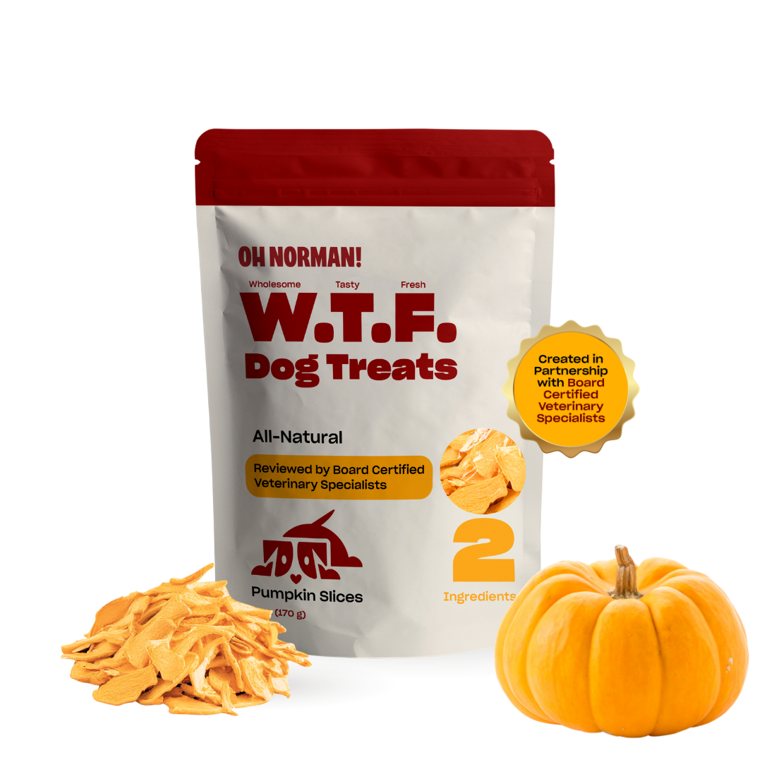 WTF Treats: Pumpkin Slices – Oh Norman
