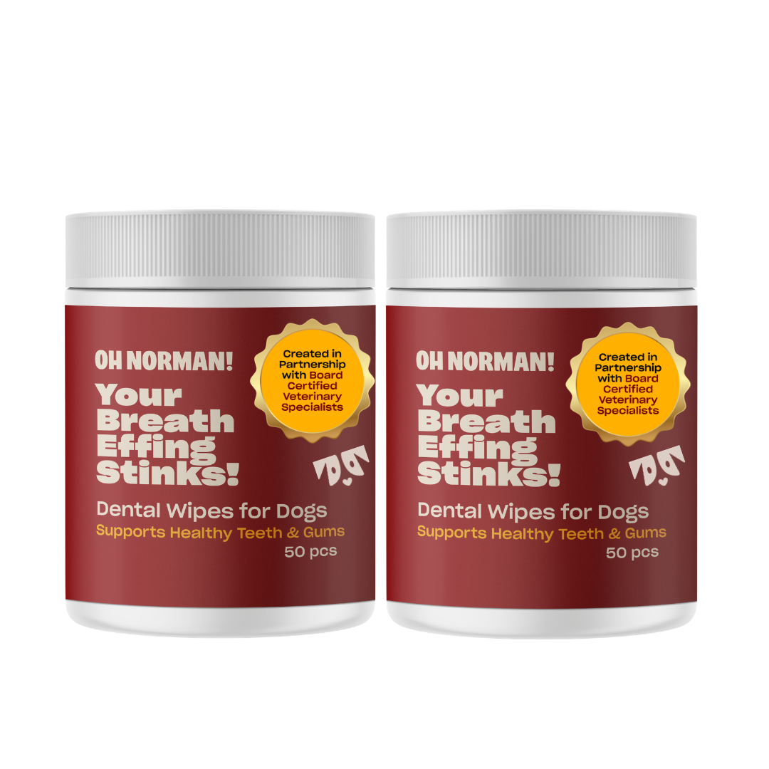 Limited Time: Buy One, Get One Dog Dental Wipes!