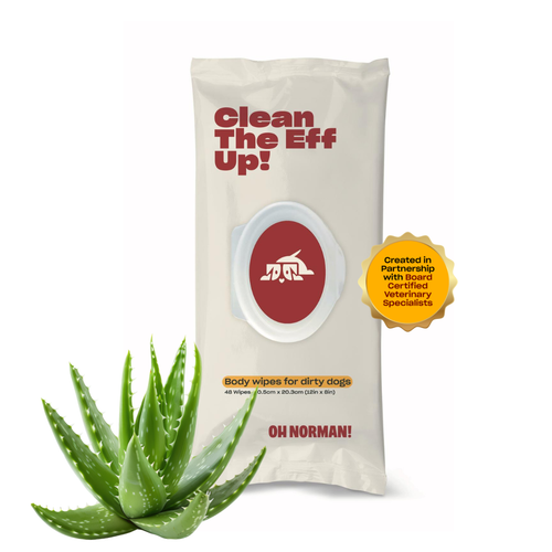 Package of 'Clean The Eff Up!' body wipes for dogs with aloe vera, featuring aloe vera plant on a white background.