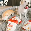 Two small dogs sniffing and sitting by three bags of W.T.F. Dog Training Treats on a gray shag rug