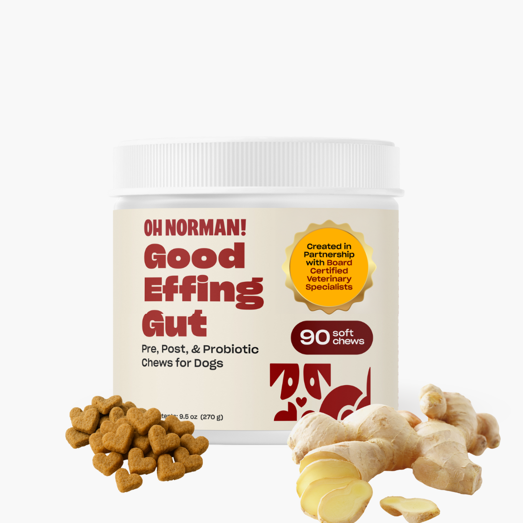 Oh Norman! Good Effing Gut' chews for dogs. Probiotic for Dogs