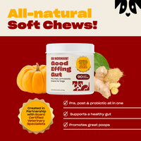 Graphic showing Good Effing Gut jar with headline All‑natural Soft Chews and text: probiotic gut support, promotes great poops