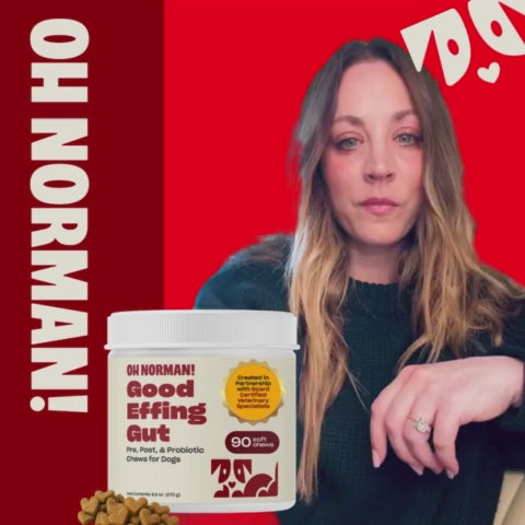 Actress Kaley Cuoco holding a box of Good Effing Gut supplement against a red background with white text 'OH NORMAN!'