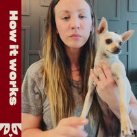 Kaley Cuoco holding a small white dog with text 'Fresh & Foamy AF' on the left side